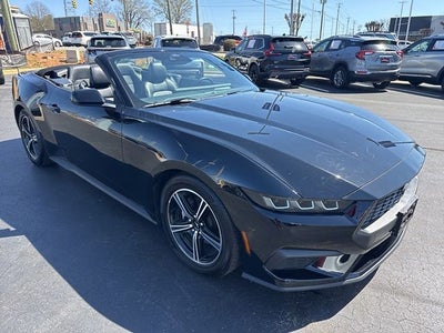 2025 Ford Mustang EcoBoost Premium