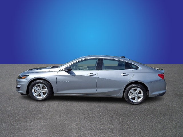 2024 Chevrolet Malibu FL