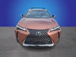 2025 Lexus UX UX 300h