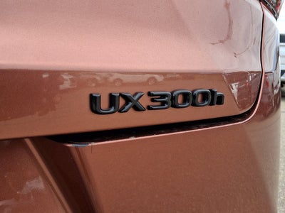 2025 Lexus UX UX 300h
